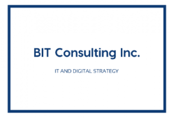 bit consulting